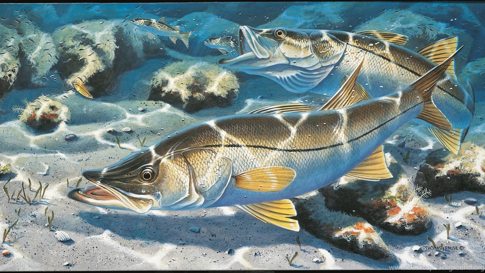 Ал Агнев картины с рыбами