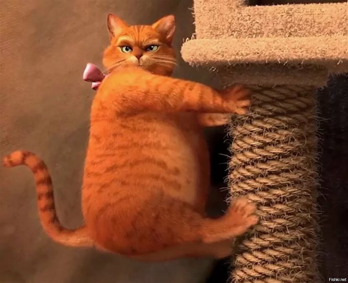 Котик с глазами просящими