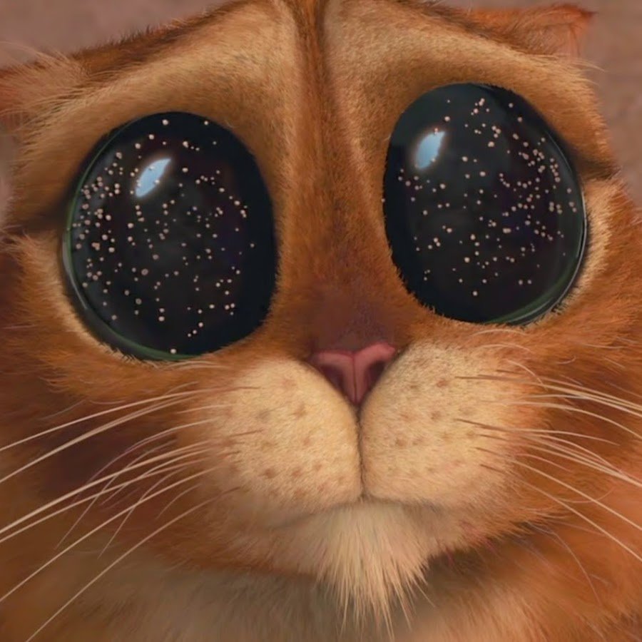 Кот в сапогах милые глазки