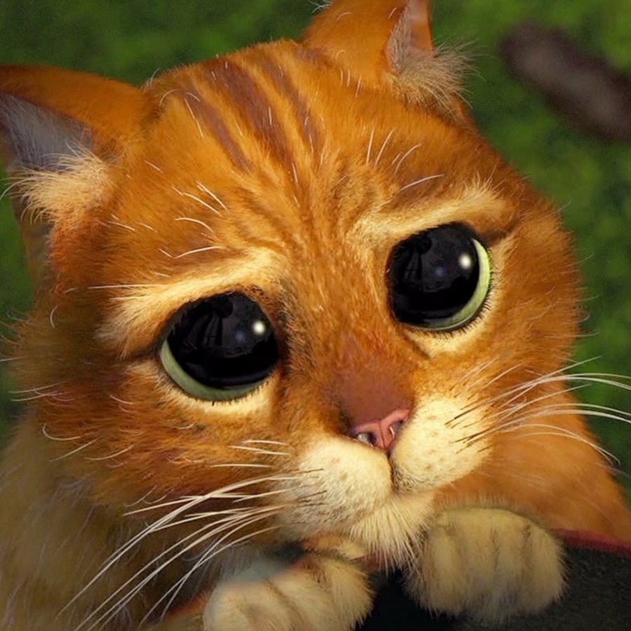 Кот в сапогах из Шрека