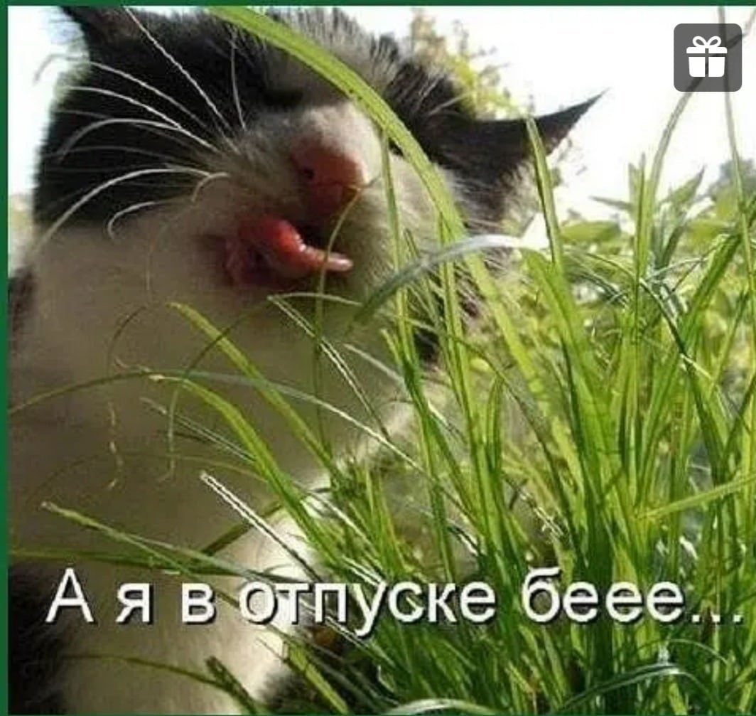 Я В отпуске картинки