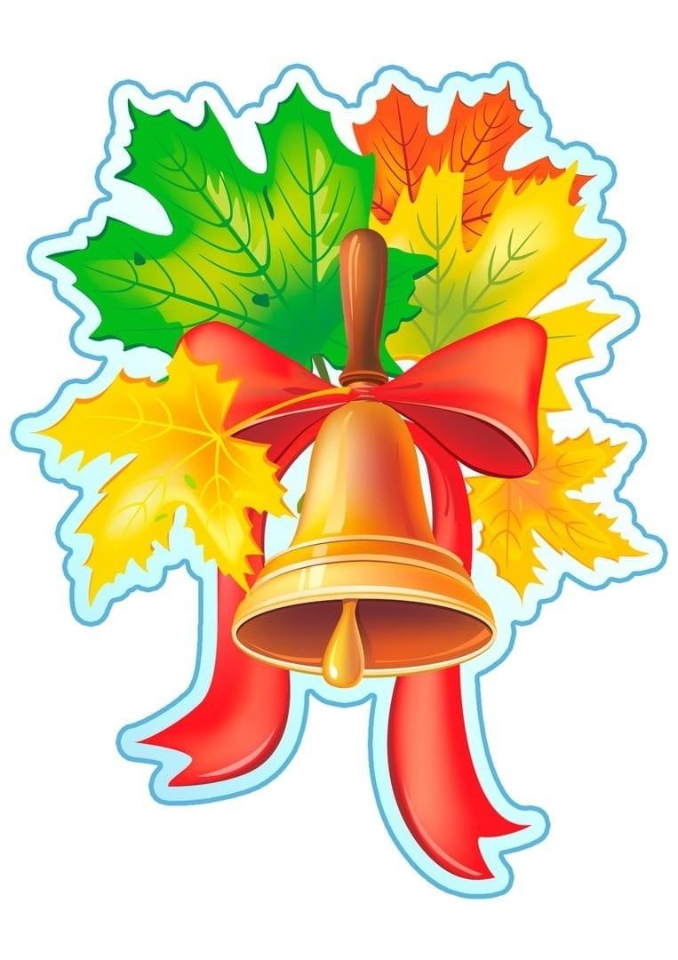 Колокольчик листья