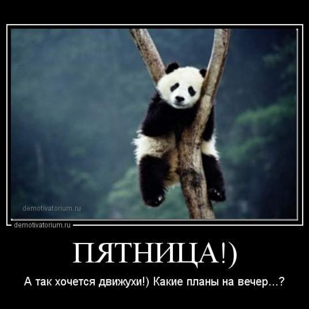Панда пятница