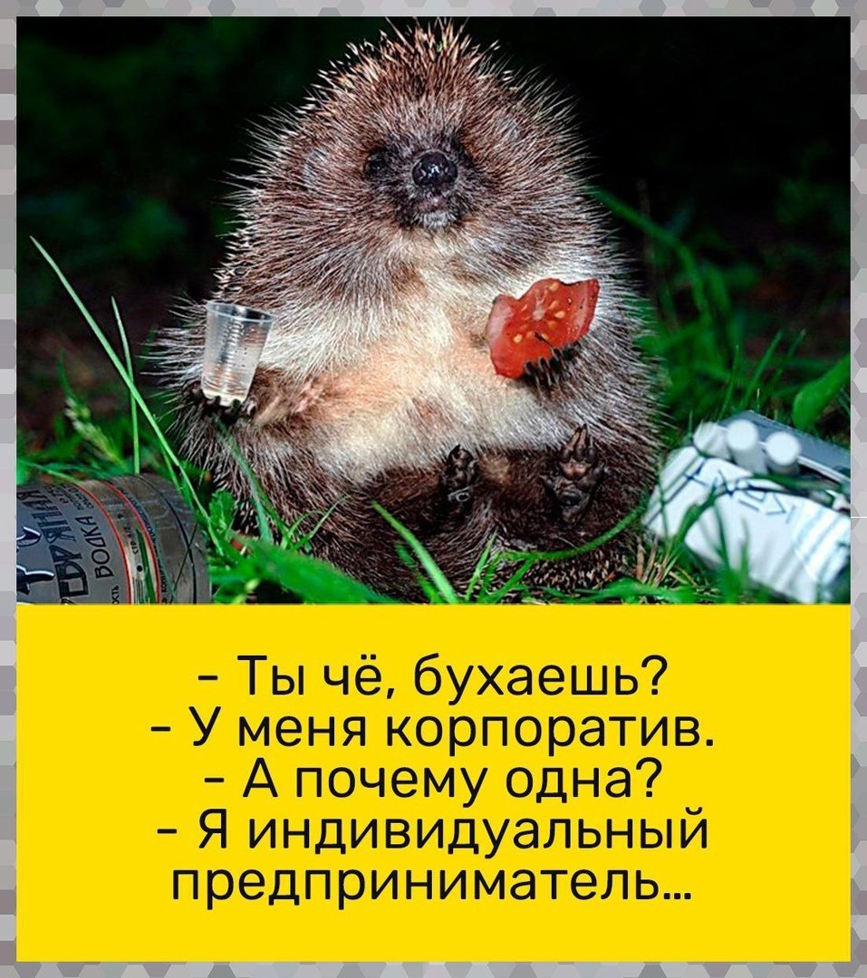 Пьяный Ежик