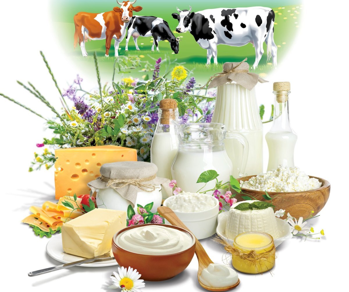 Молочная продукция на фоне Луга
