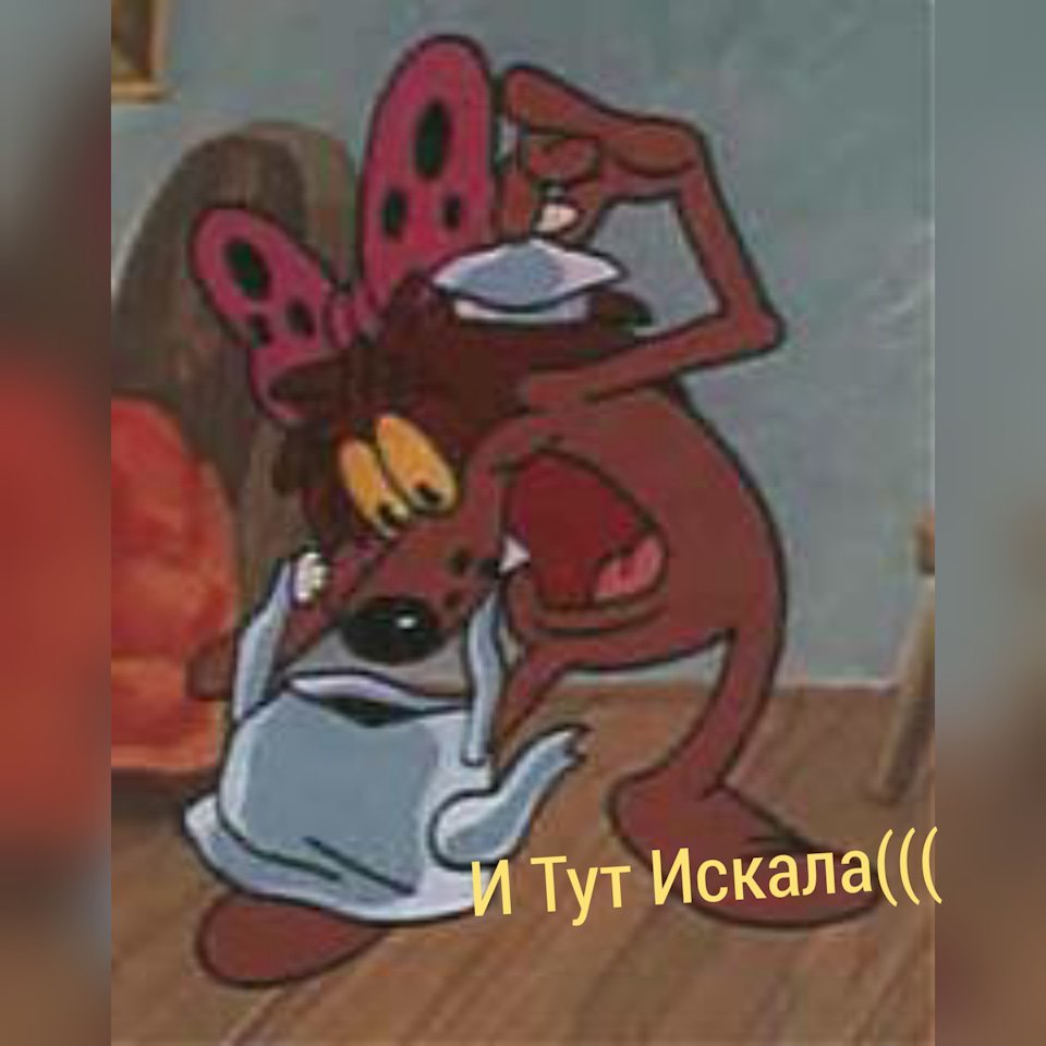 Дюдюка Барбидокская