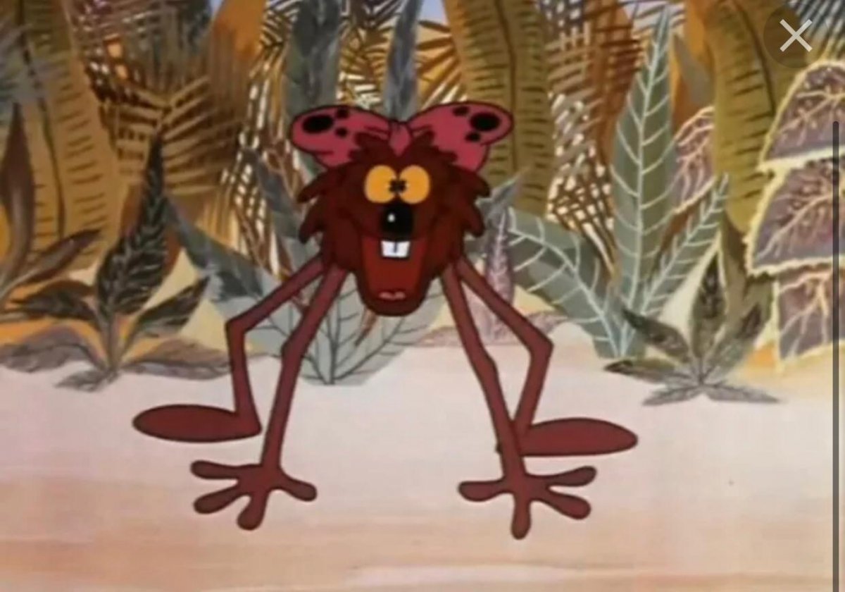 Дюдюка Барбидокская