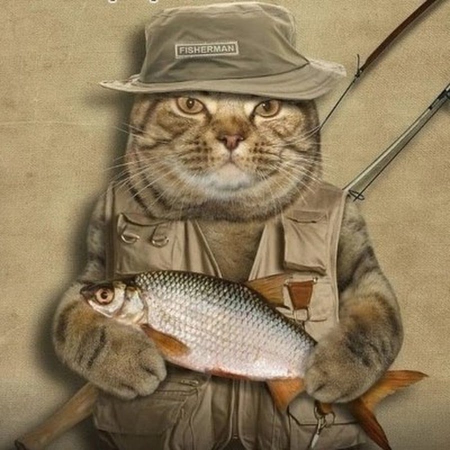 Кот Рыбак
