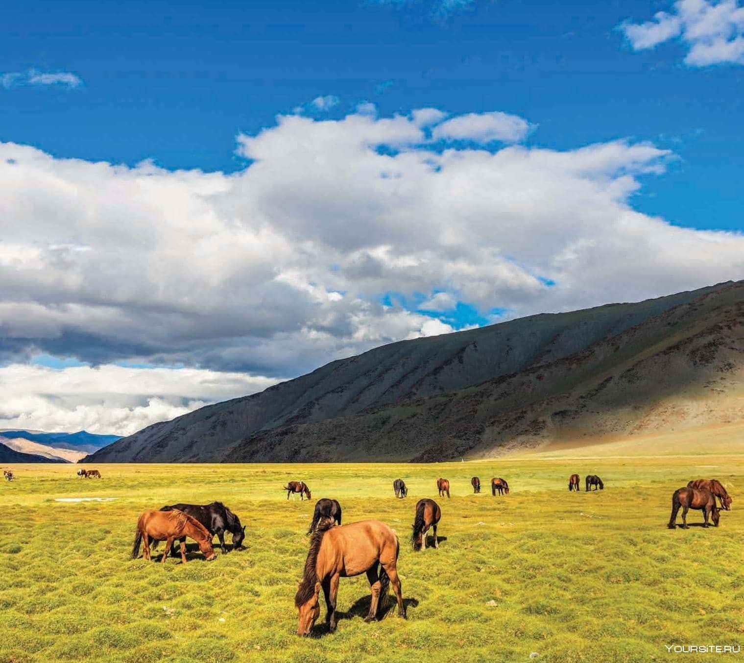 Монголия самое главное. Хайласт Монголия. Сыргалы Монголия. Монголия природа Ховда. Пейжазы Монголии.