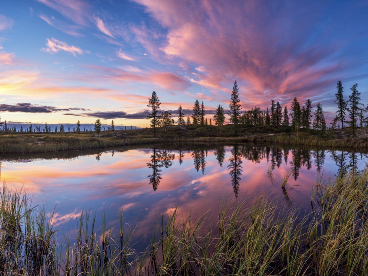 Ненецкий автономный округ