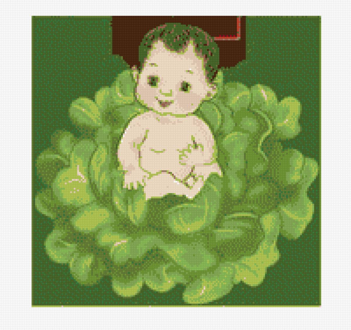 Метрика ребенок в капусте