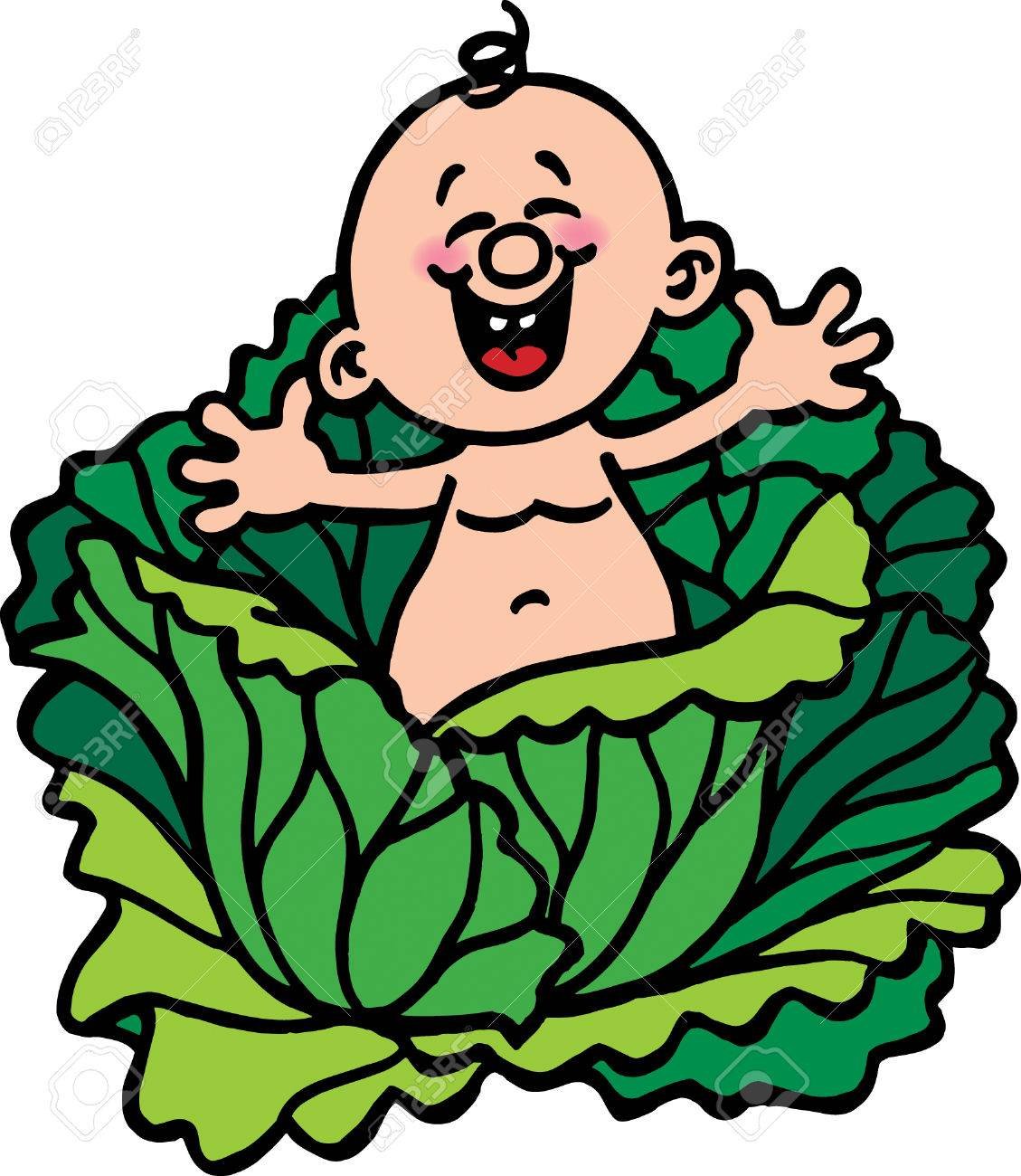 Малыш в капусте рисунок