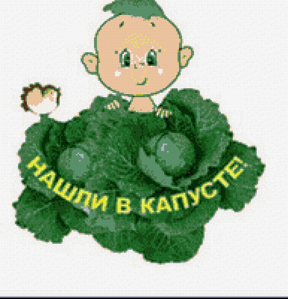 Капуста рисунок для детей