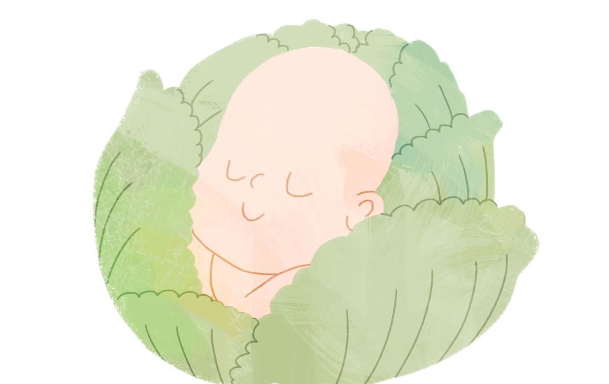 Картина младенец в капусте