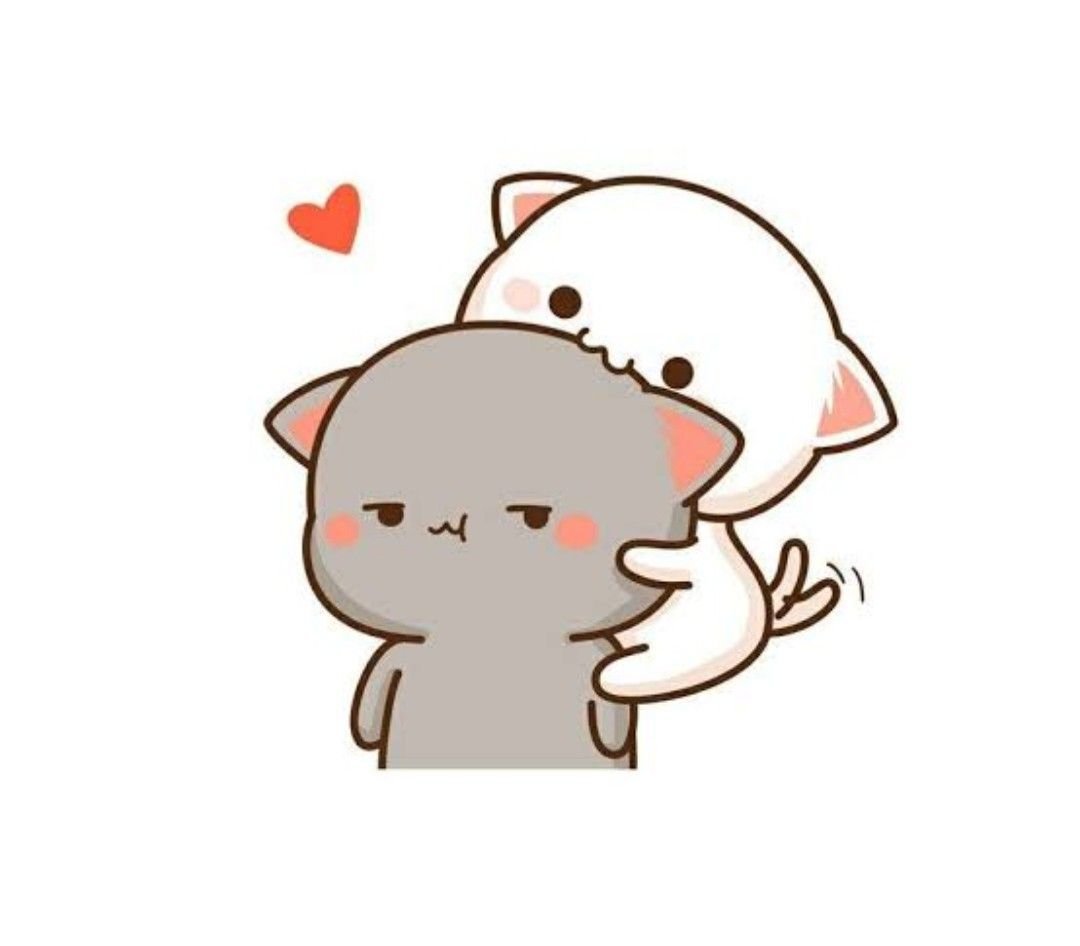 Кавайные котики любовь