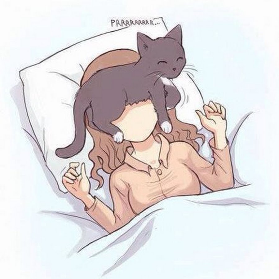 Девушка спит с котом арт