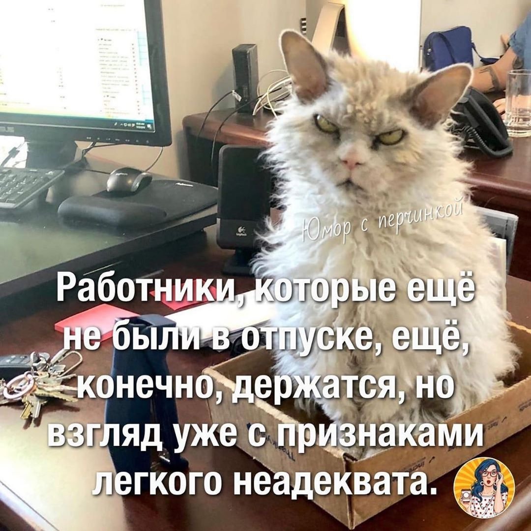Работники которые не были в отпуске