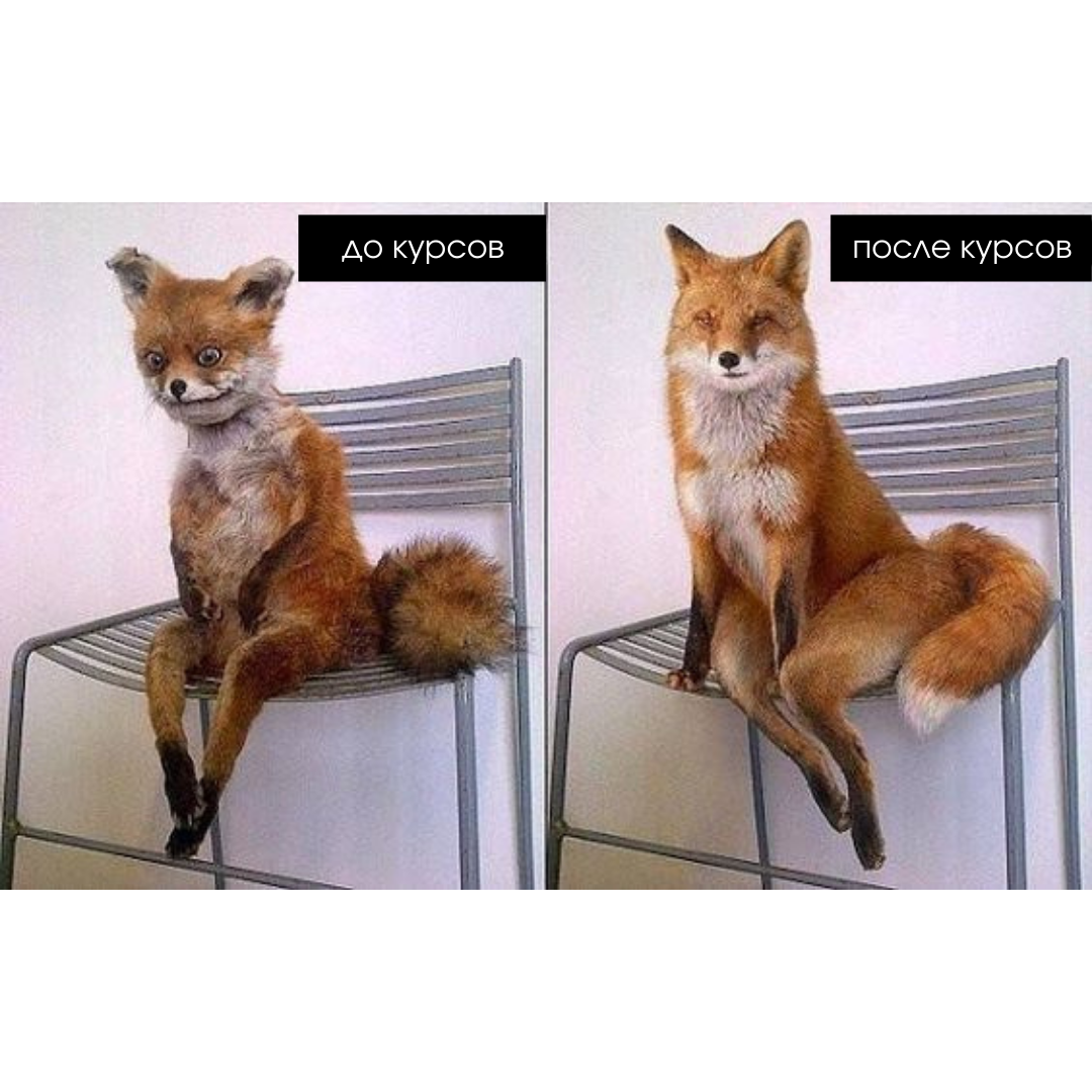 Открытка из отпуска