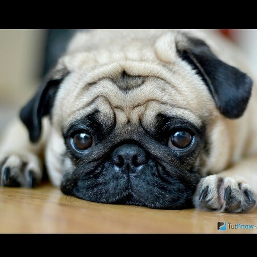 Отпуск закончился