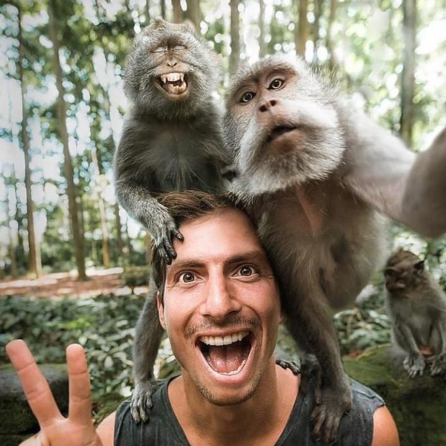 Забавные мартышки