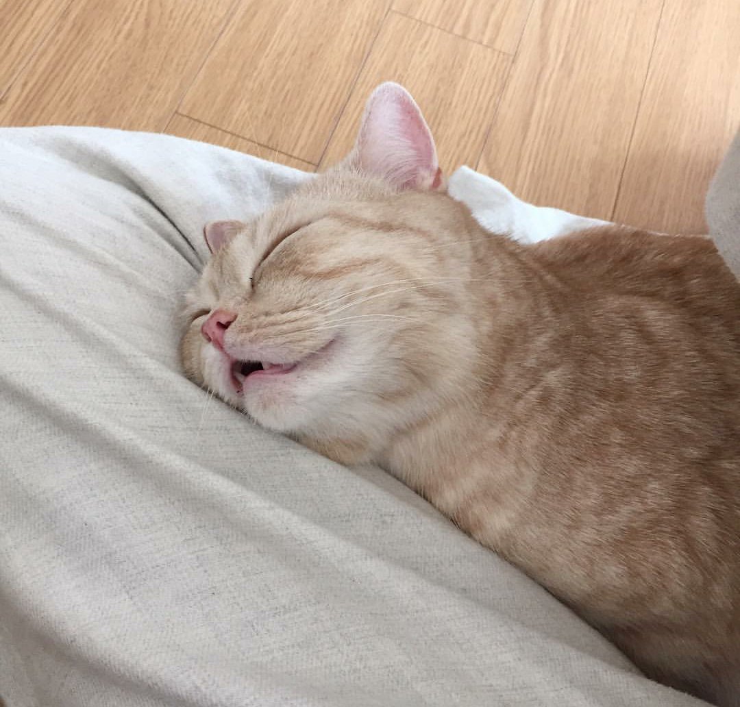 Завтра опять на работу