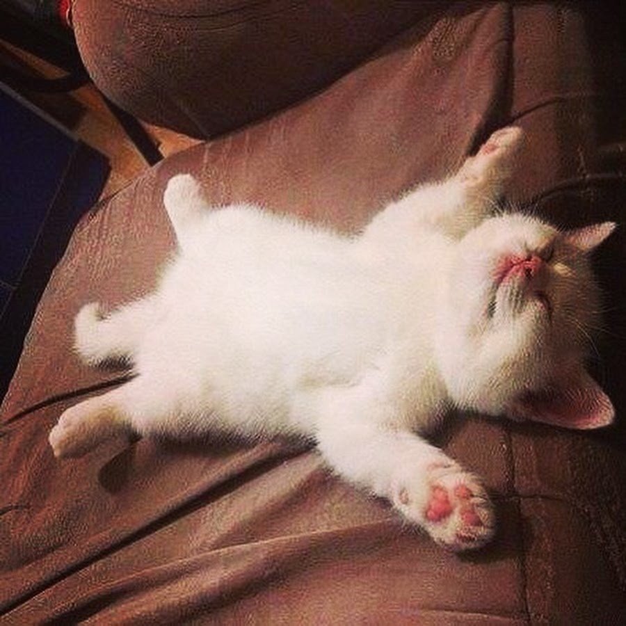 Конец рабочей недели