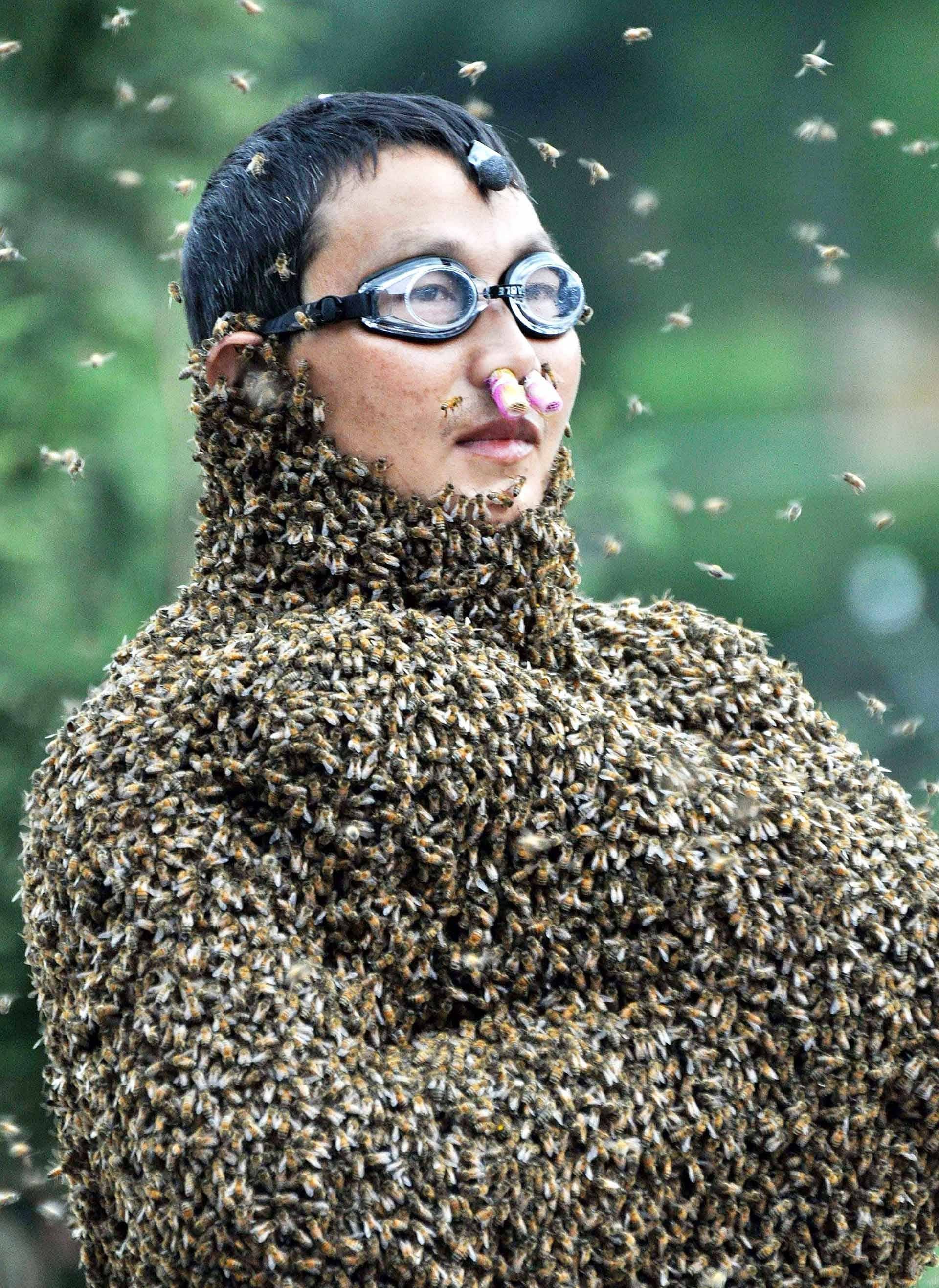 Странный человек кратко. Пчелиный конкурс. Пчелы облепили. Большая пчела. Человек пчела.