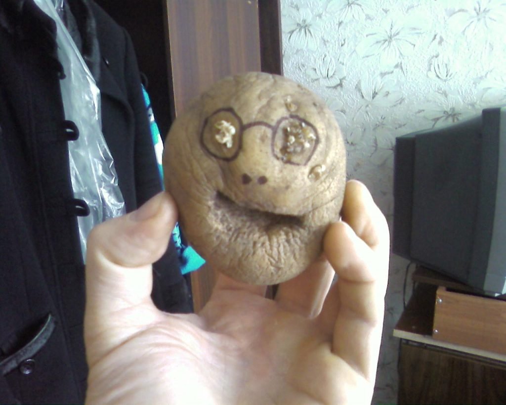 Картошка прикол