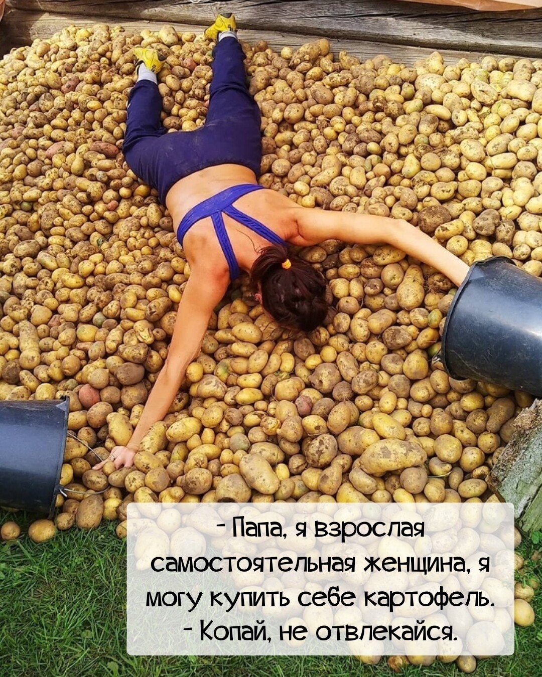 Копать картошку