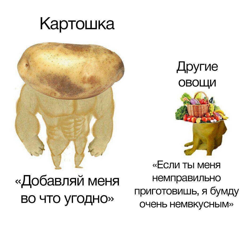 Слава картошка