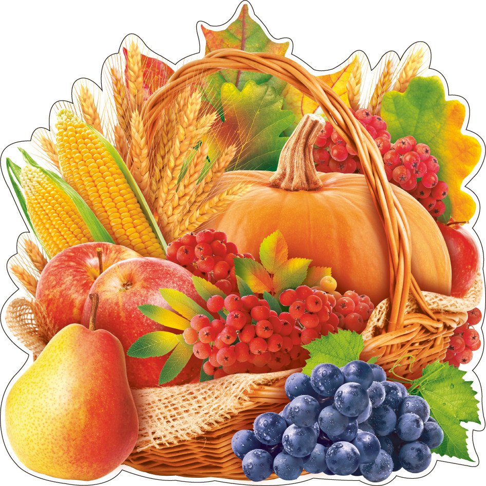 Осенние овощи