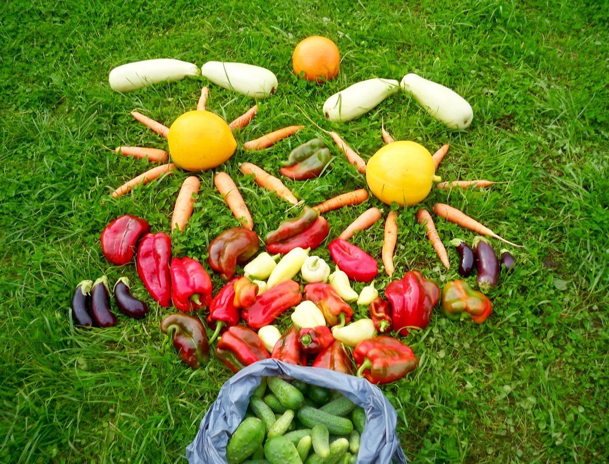 Картина корзинка с овощами для детей