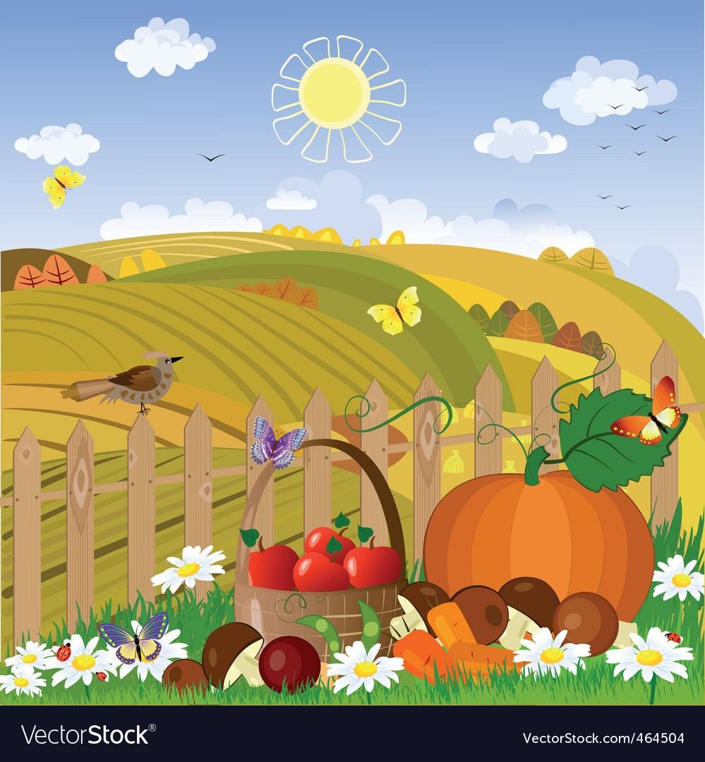 Сбор урожая клипарт