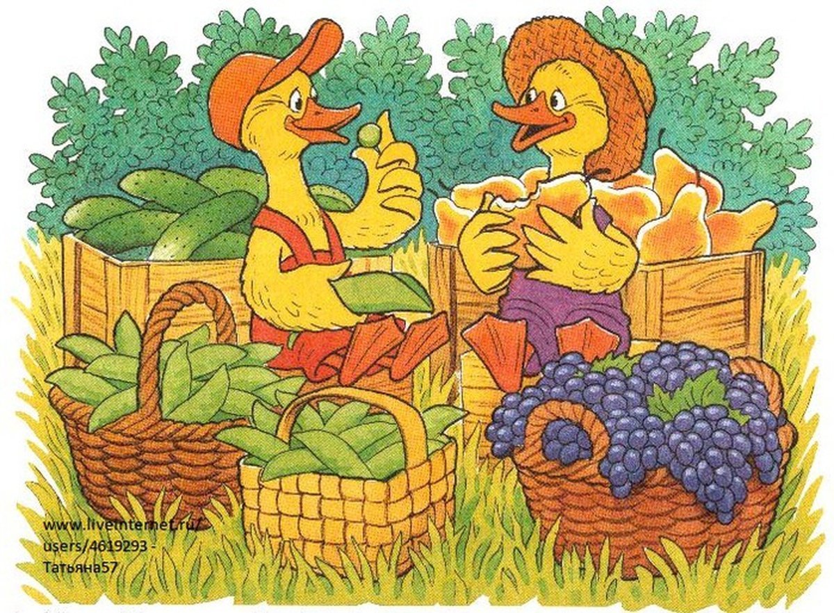 Сюжетные картины для детей