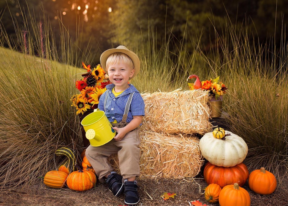 Тележка с овощами