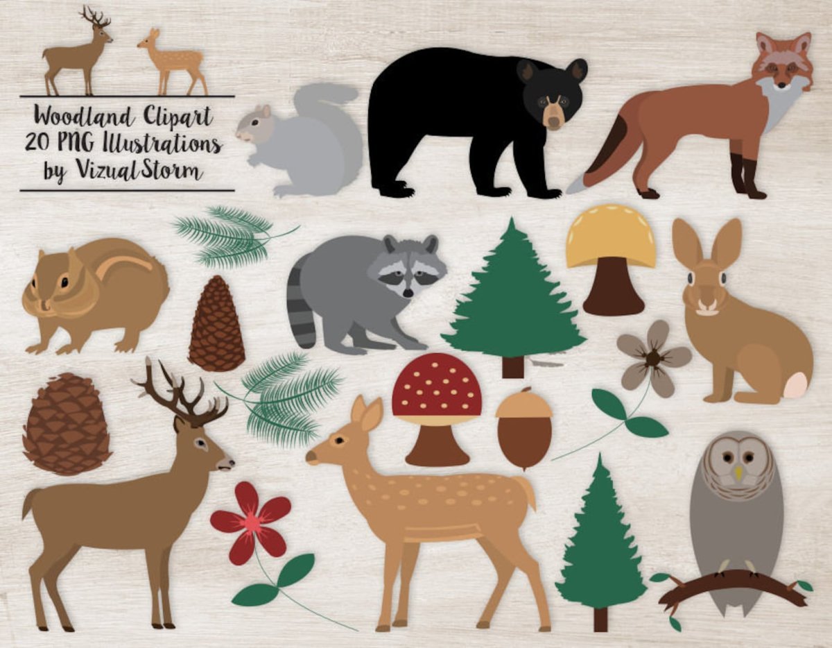 Животные леса по 6 штук для печати
