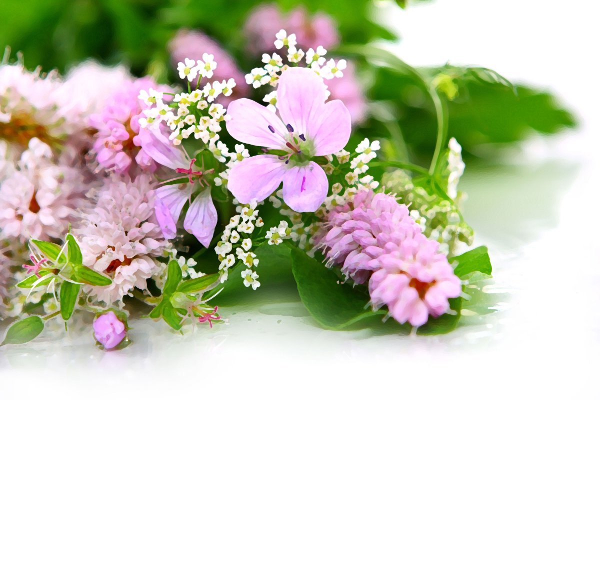 Всем счастья