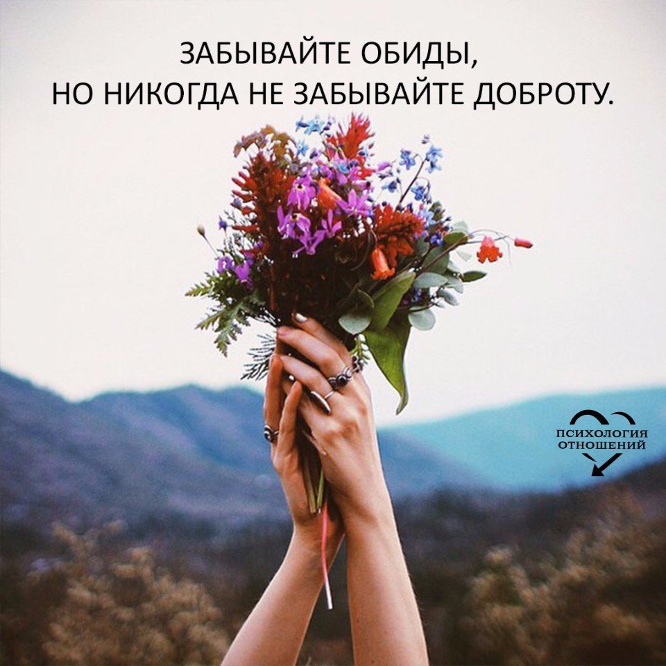 Забудь обиды