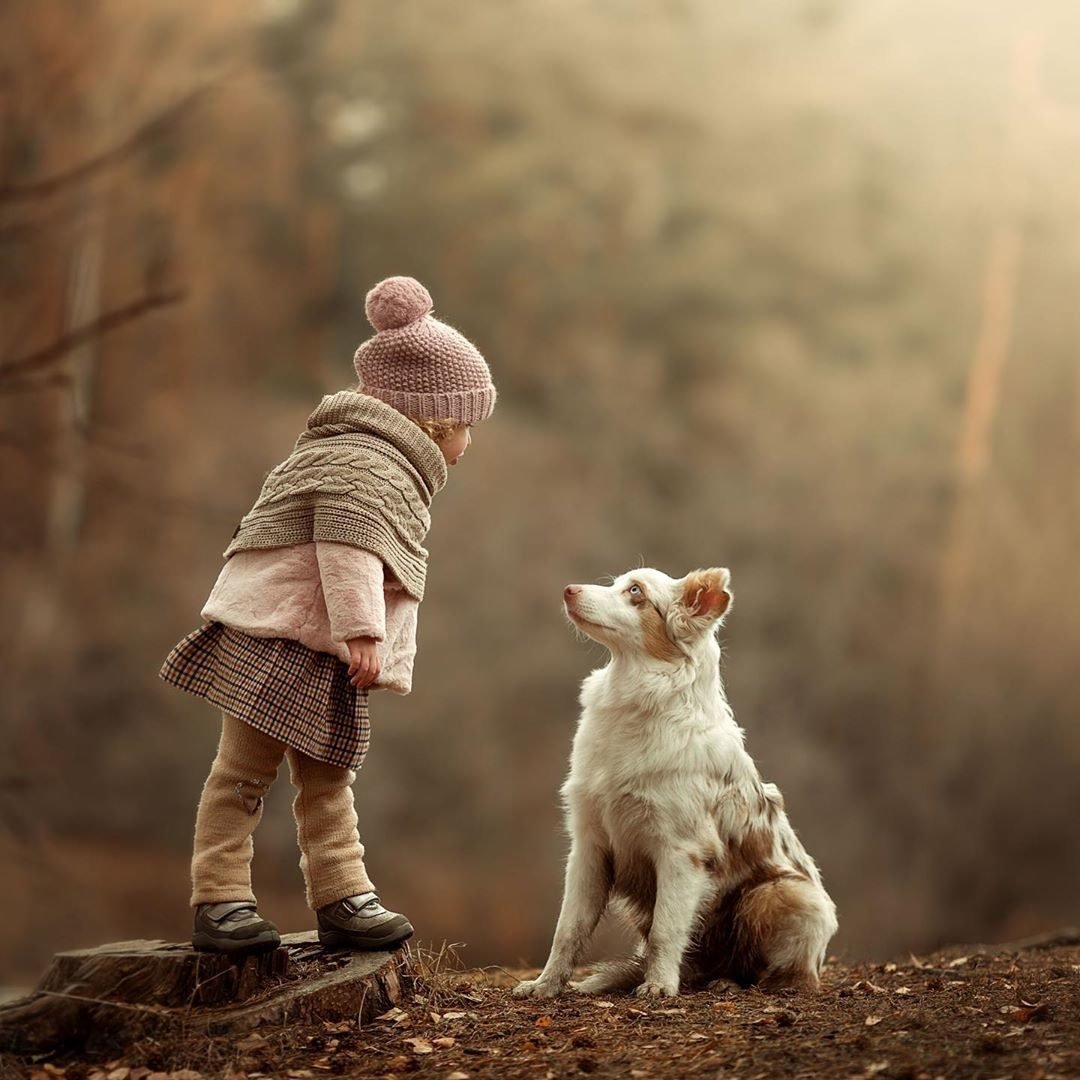 Добрые иллюстрации