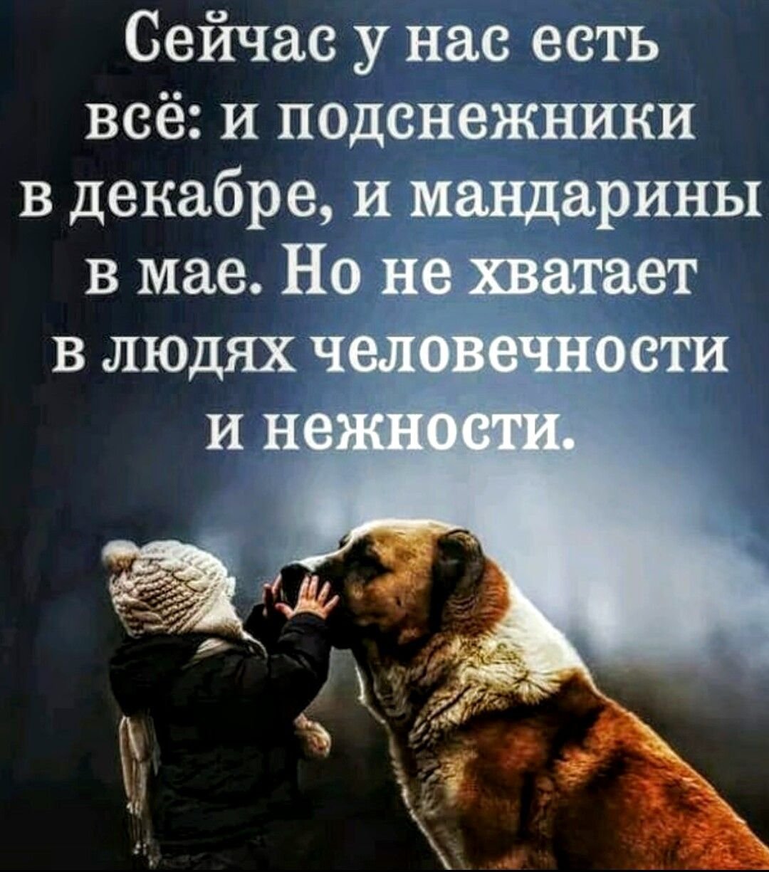 Мудрые мысли и высказывания