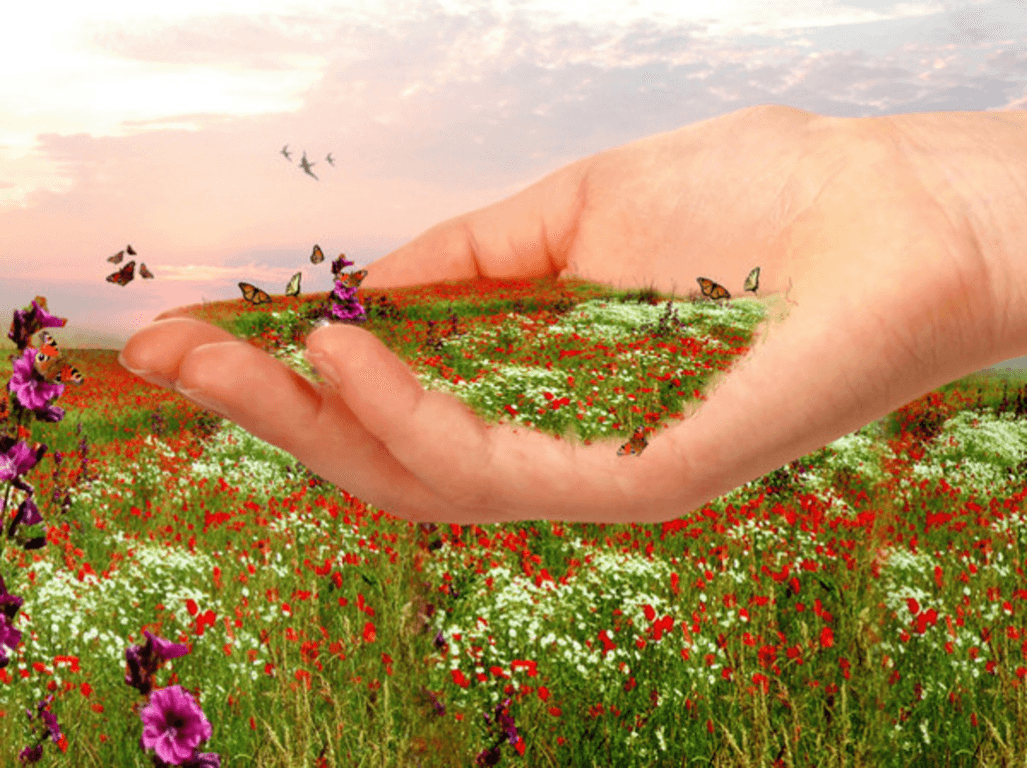 Мудрость и доброта