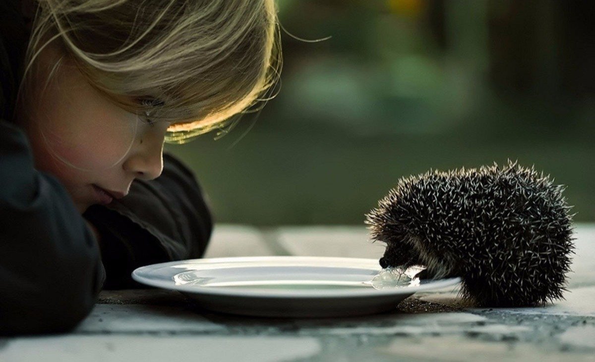 Доброта картинки