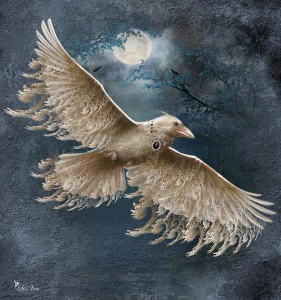 Белые вороны