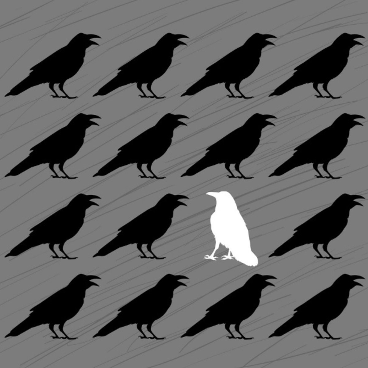 Черно белая ворона