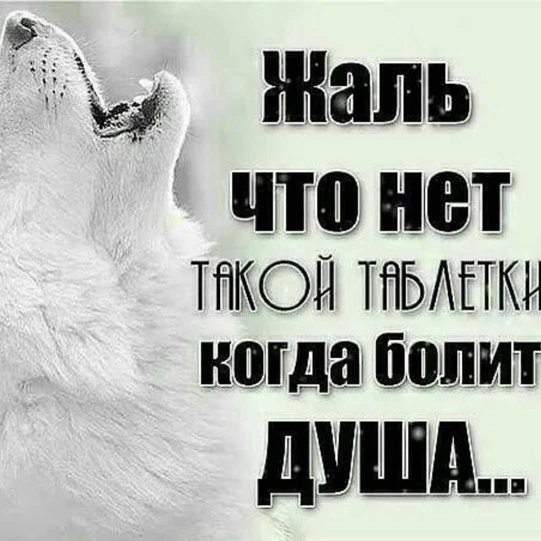 Ц͜͡и͜͡т͜͡а͜͡т͜͡ы͜͡ п͜͡р͜͡о͜͡ Л͜͡ю͜͡б͜͡о͜͡в͜͡и͜͡