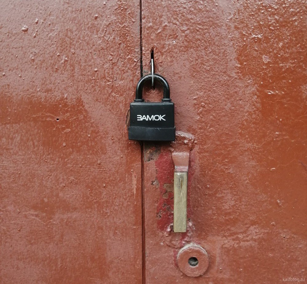 Капитан очевидность фото