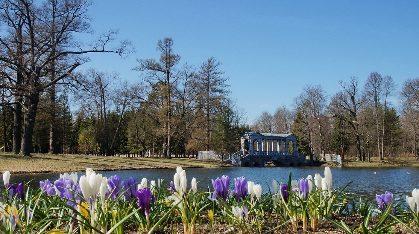 Екатерининский парк Царское село весной