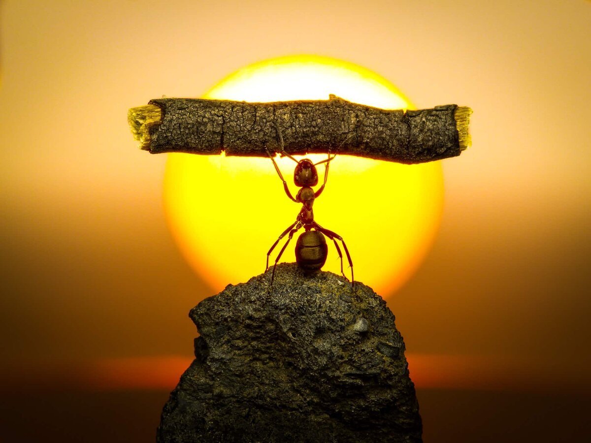 Делать все возможное все невозможное сделает Бог