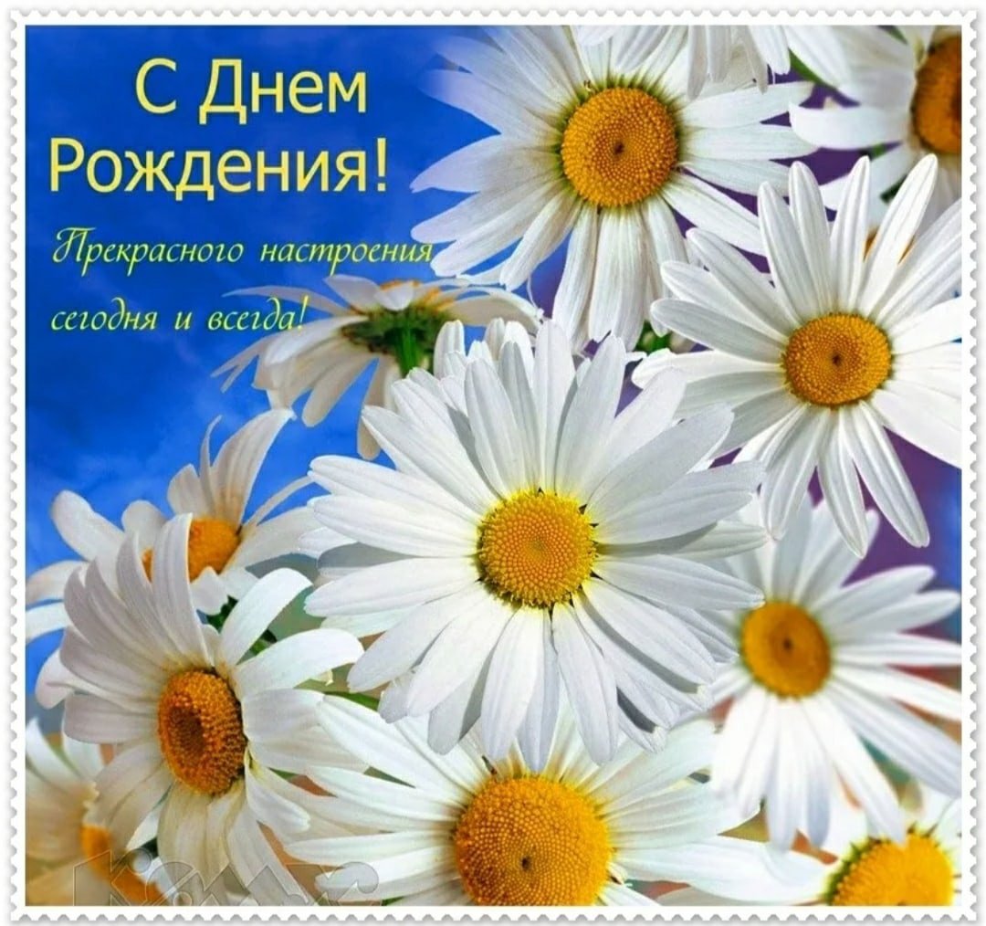 С днем рождения