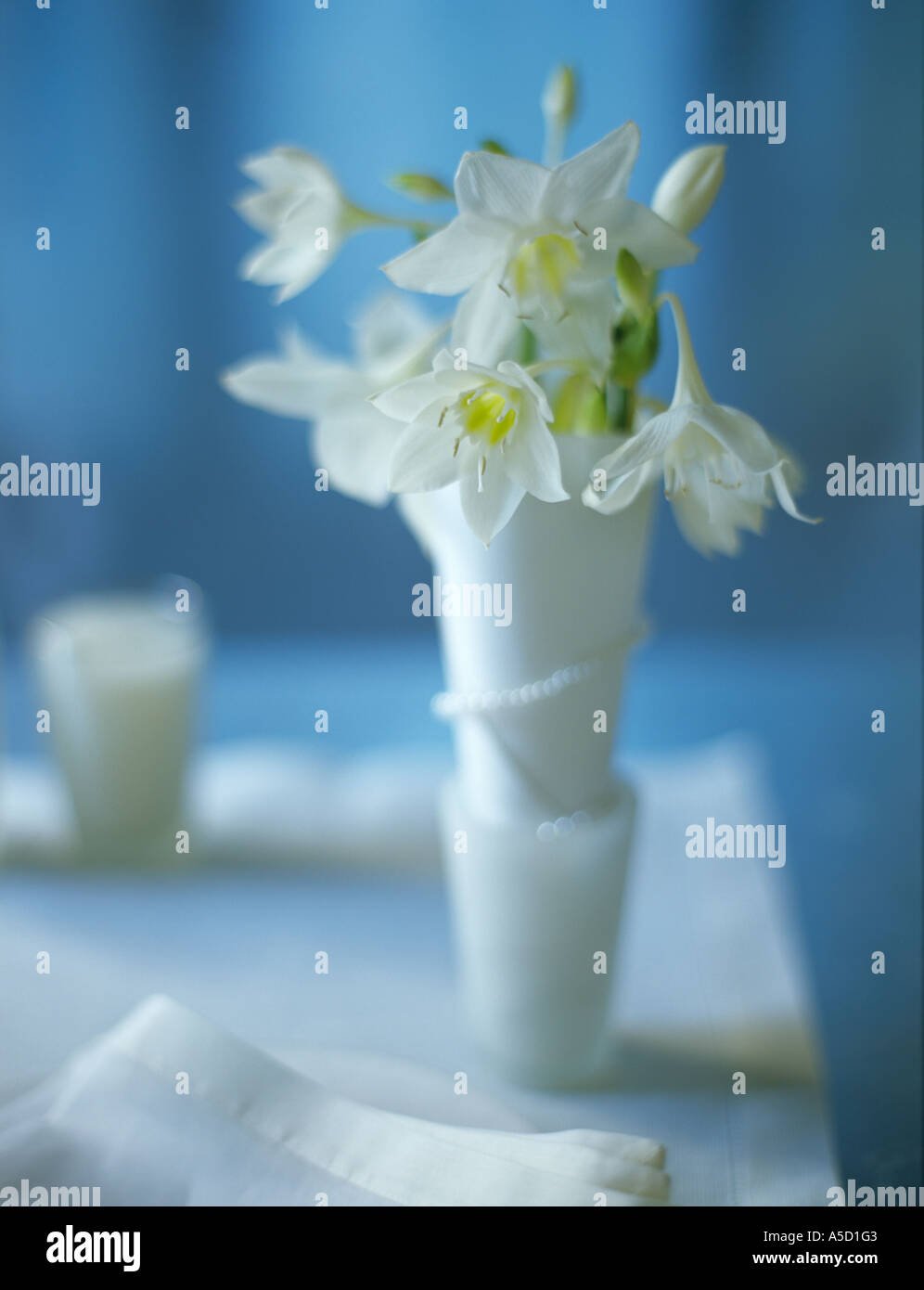 С днём рождения мужчинеприрода